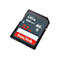 SanDisk Ultra - Flash-Speicherkarte - 32 GB - UHS Class 1 / Class10 - SDHC UHS-I