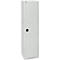 Schäfer Shop Genius Armoire à portes battantes FS, acier, avec trous d'aération, L 545 x P 620 x H 1950 mm, 5 HC, gris clair/gris clair, jusqu'à 250 kg