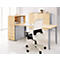 Schäfer Shop Genius Caisson fixe avec étagère à poser, verrouillable, poignée ronde, érable