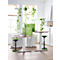 Bright workspace featuring two height-adjustable desks, green stools, and plants.