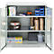 Schäfer Shop Genius dubbeldeurskast FS, staal, met ventilatiegaten, B 1055 x D 520 x H 1105 mm, 3 OH, lichtgrijs/lichtgrijs, tot 300 kg