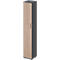 Schäfer Shop Genius dubbele deurkast TETRIS WOOD, 6 OH, B 400 x D 421 x H 2270 mm, hoogte incl. glijders, deur links grafiet/eiken