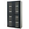 Schäfer Shop Genius metalen materiaalkast FS, met kijkvenster, ventilatiegaten, B 1055 x D 520 x H 1950 mm, 5 OH, tot 500 kg, lichtgrijs/antraciet