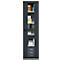 Schäfer Shop Genius metalen materiaalkast FS, met kijkvenster, ventilatiegaten, B 545 x D 520 x H 1950 mm, 5 OH, tot 250 kg, blank.alu kleurig/antraciet