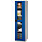 Schäfer Shop Genius metalen materiaalkast FS, met kijkvenster, ventilatiegaten, B 545 x D 520 x H 1950 mm, 5 OH, tot 250 kg, blank.alu kleurig/gentiaanblauw