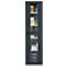 Schäfer Shop Genius metalen materiaalkast FS, met kijkvenster, ventilatiegaten, B 545 x D 520 x H 1950 mm, 5 OH, tot 250 kg, lichtgrijs/antraciet