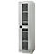 Schäfer Shop Genius metalen materiaalkast FS, met kijkvenster, ventilatiegaten, B 545 x D 520 x H 1950 mm, 5 OH, tot 250 kg, lichtgrijs/lichtgrijs