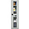 Schäfer Shop Genius metalen materiaalkast FS, met kijkvenster, ventilatiegaten, B 545 x D 520 x H 1950 mm, 5 OH, tot 250 kg, lichtgrijs/lichtgrijs