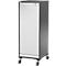 Schäfer Shop Genius Multimobil, B 450 x D 500 x H 1220 mm, kunststof rolluik, met wielen, afsluitbaar, grafiet