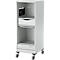 Schäfer Shop Genius Multimobil, B 450 x D 500 x H 1220 mm, kunststof rolluik, met wielen, afsluitbaar, lichtgrijs