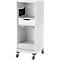 Schäfer Shop Genius Multimobil, B 450 x D 500 x H 1220 mm, kunststof rolluik, met wielen, afsluitbaar, wit