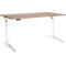 Schäfer Shop Genius Schreibtisch ERGOSTYLE S, Rechteck, elektrisch höhenverstellbar, einstufig, C-Fuß, B 1600 x T 800 x H 715-1182 mm, inkl. Memory Master, Eiche/weiß