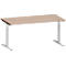 Schäfer Shop Genius Schreibtisch MODENA FLEX, T-Fuß-Rundrohr, B 1600 x T 800 mm, Eiche-Dekor/weißalu