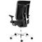 Schäfer Shop Genius Siège de bureau SSI PROLINE PREMIUM P2, avec accoudoirs