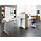 Schäfer Shop Genius Siège de bureau SSI PROLINE PREMIUM P2, sans accoudoirs