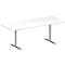 Schäfer Shop Genius Table de réunion MODENA FLEX, hauteur ajustable, en forme de rectangle, pied en T avec tubes ronds, l. 2000 x P 800 mm, blanc 