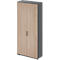 Tall cabinet with two doors and wood grain, gray framed.