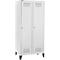 Schäfer Shop Genius Vestiaire sur pieds, 2 compartiments, largeur de compartiment 400 mm, serrure à cylindre, gris clair