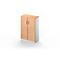 Schäfer Shop Genius Vleugeldeurkast TETRIS SOLID, 3 ordnerhoogten, B 800 x H 1170 mm, 2 legborden, beuken/blank aluminium