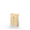 Schäfer Shop Genius Vleugeldeurkast TETRIS SOLID, 3 ordnerhoogten, B 800 x H 1170 mm, 2 legborden, esdoorn/blank aluminium