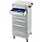 Schäfer Shop Pure Armoire à tiroirs SFR 70, 7 tiroirs, L 544 x P 500 x H 1215 mm, avec roulettes, gris clair RAL 7035/gris clair RAL 7035