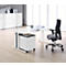Schäfer Shop Pure Bureau 