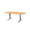 Schäfer Shop Select Besprechungstisch Planova Basic, Boot, T-Fuß, B 2000 x T 1000 x H 717 mm, Buche/weißaluminium RAL 9006