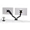 Schäfer Shop Select Bras pour écran MX8-124, pour 2 écrans jusqu'à 24 pouces + haut-parleur Bluetooth Chrome