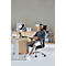 Schäfer Shop Select Bürostuhl SSI Proline Edition 10, mit Armlehnen, Punktsynchronmechanik, Bandscheibensitz, Kopfstütze, schwarz / alusilber