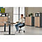 Schäfer Shop Select Bürostuhl SSI Proline Edition 10, mit Armlehnen, Punktsynchronmechanik, Bandscheibensitz, Netzrücken, schwarz/alusilber