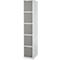Schäfer Shop Select Columna de armario S4/5, con cerradura de cilindro, gris claro/gris platino