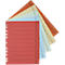 Multi-colored index cards with perforations and lines for clear organization.