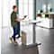Schäfer Shop Select escritorio LOGIN, regulable eléctricamente en altura, rectangular, pata en T, An 1600 x F 800 x Al 645-1290 mm, arce/aluminio blanco