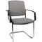 Schäfer Shop Select Freischwinger SSI Proline Visit P2, grau