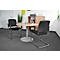 Schäfer Shop Select Freischwinger SSI Proline Visit P2, schwarz