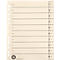 Schäfer Shop Select Intercalaires à découper , format A4, lignes pré-tracées, 100 p., perforations renforcées