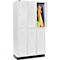 Schäfer Shop Select Kledinglocker, met 3 x 2 compartimenten, 300 mm, met fitting, draaigrendelslot, deur lichtgrijs