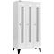 Schäfer Shop Select Kledinglocker, met geperforeerde rijen, 3 compartimenten, 300 mm, met poten, draaigrendelslot, deur lichtgrijs