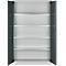 Schäfer Shop Select Materialschrank MSI 2512 S, B 1200 x T 500 x H 1935 mm, lichtgrau/anthrazitgrau