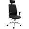 Black office chair with high back, headrest and armrests on a silver frame.