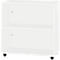 Schäfer Shop Select Regal LOGIN, 2 Ordnerhöhen, B 800 x T 420 x H 788 mm, weiß/weiß