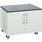 Schäfer Shop Select Rollschrank, mit Sitzfunktion, B 800 x T 450 x H 590 mm, lichtgrau