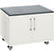 Schäfer Shop Select Rollschrank, mit Sitzfunktion, B 800 x T 450 x H 590 mm, weiß