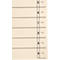 Schäfer Shop Select scheidingsbladen, A4-formaat, gelinieerd, 100 stuks, met perforatierand-versteviging