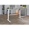 Schäfer Shop Select Schreibtisch, elektrisch höhenverstellbar, Rechteck, C-Fuß, B 1600 x T 800 x H 725-1185 mm, lichtgrau/weiß