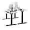 Schäfer Shop Select Schreibtisch ERGO-T 2.0, elektrisch höhenverstellbar, Rechteck, T-Fuß, B 1600 x T 800 x H 640-1300 mm, lichtgrau/anthrazit