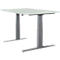 Schäfer Shop Select Schreibtisch LOGIN, elektrisch höhenverstellbar, Rechteck, T-Fuß, B 1200 x T 800 x H 645-1290 mm, lichtgrau/weißaluminium