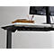 Schäfer Shop Select Schreibtisch Start Off, elektrisch höhenverstellbar, Rechteck, T-Fuß, B 1600 x T 800 x H 755-1255 mm, Ahorn/schwarz 