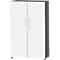 White cabinet with two doors. Gray top and sides. Silver handles.