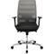 Schäfer Shop Select Siège de bureau SSI Proline Edition 50, montée, accoudoirs, mécanisme de synchronisation ponctuelle, assise ergonomique, soutien lombaire, dossier résille, noir/gris